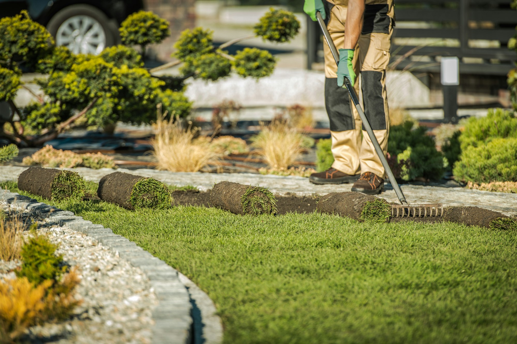 Landscaping Contractor Installing Sod For New Lawn.